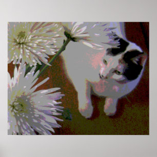 Kunstprint van kat met chrysanten poster