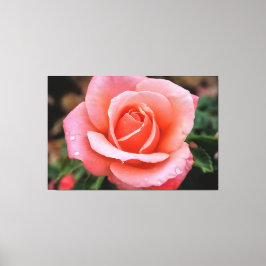 Kunstprint van Romantische Roos Botanisch Motief Canvas Afdruk