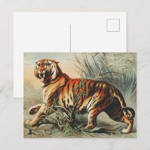 Kunstprint van vintage konings tijger Royal Bengal Briefkaart