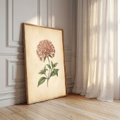 Kunstprint van Vintage Pentas Bloem Poster