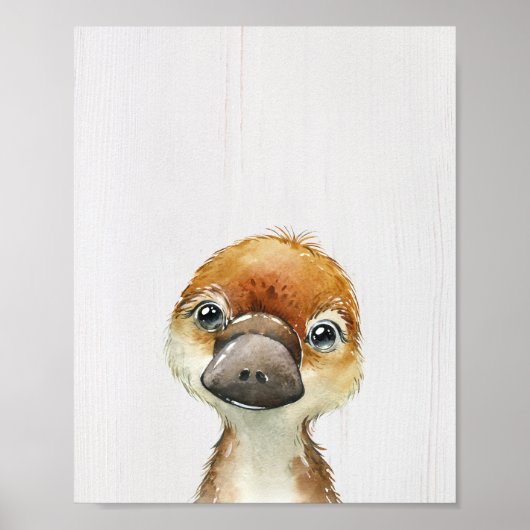 Kunstprint Vogelbekdierkinderkamer Poster (Voorkant)