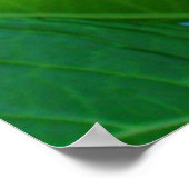 Kunstprintcadeaus Blauwe Hortensia Bloementuin Poster (Hoek)