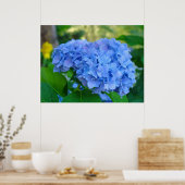 Kunstprintcadeaus Blauwe Hortensia Bloementuin Poster (Keuken)