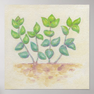 Kunstprinten van Crassula Poster