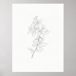 Kunstprinten van Honeysuckle Poster