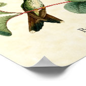 Kunstprinten voor boogstaarten poster (Hoek)