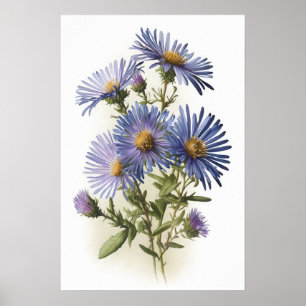 Kunstprintposter Blauwe Asterbloem Poster