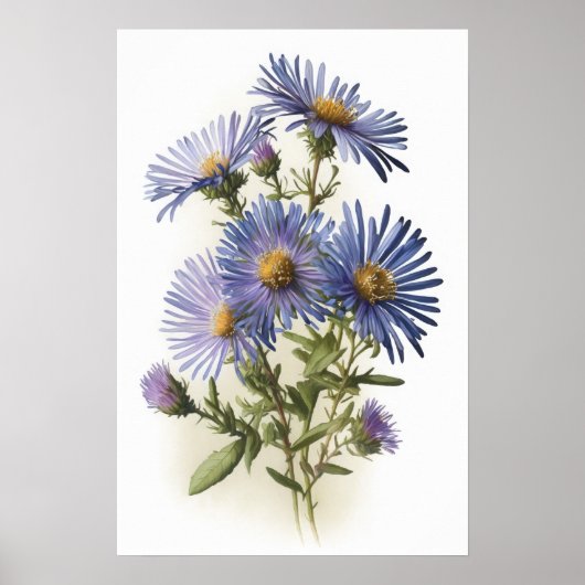 Kunstprintposter Blauwe Asterbloem Poster (Voorkant)