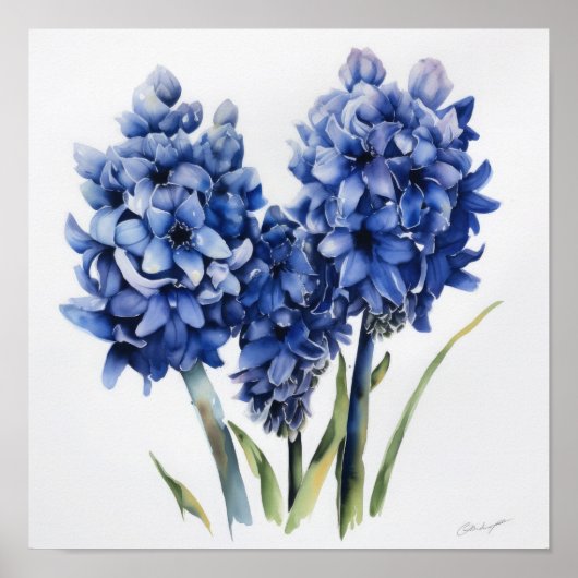 Kunstprintposter Blauwe Hyacint Bloem Poster (Voorkant)