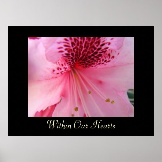 Kunstprints Roze Rhododendron Binnen Onze Harten Poster (Voorkant)