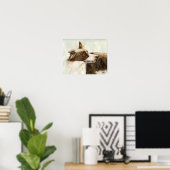 Kunstreproductie Afdrukken van rand-collieprofiel Poster (Thuiskantoor)