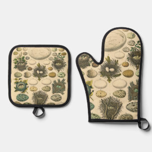 Kunstschildering van oude vogel ei nesten Natuurhi Ovenwant & Pannenlap Set