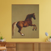 kunstschildjasje van George Stubbs Canvas Afdruk (Insitu (Woonkamer))