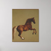 kunstschildjasje van George Stubbs Canvas Afdruk (Voorkant)