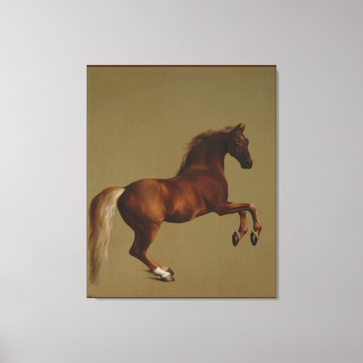 kunstschildjasje van George Stubbs Canvas Afdruk (Voorkant)
