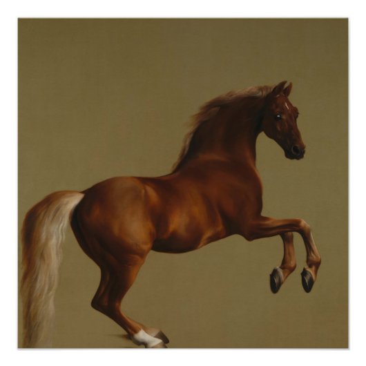  kunstschildjasje van George Stubbs Perfect Poster (Voorkant)
