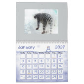Kunstschildpadden, in het wild levende dieren kalender (Jan 2027)