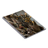 Kunstschildpadden in oude rottenblikken notitieboek (Rechterzijde)