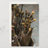 Kunstschildpadden in Rusty Tin Cans Briefpapier (Voorkant / Achterkant)