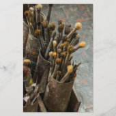 Kunstschildpadden in Rusty Tin Cans Briefpapier (Voorkant)