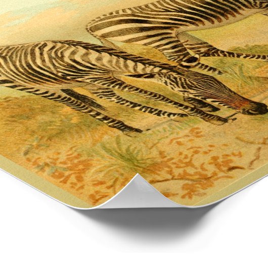  kunstschildpadden van Zebras Poster (Hoek)