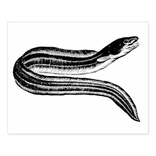 kunststempel Eel Rubber Rubberstempel (Afrduk)