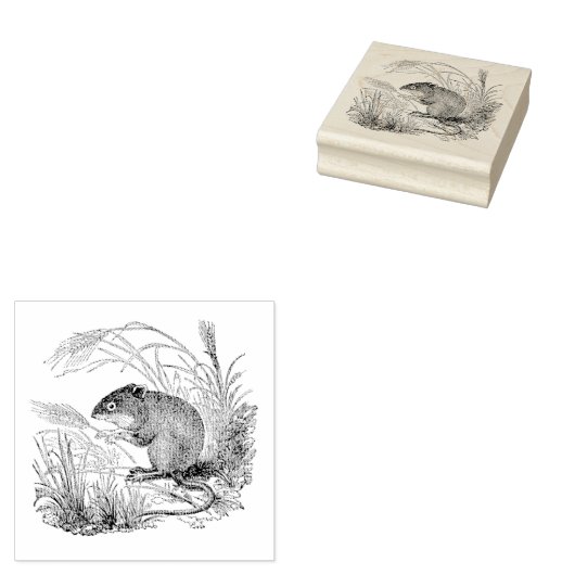 Kunststempel Mouse Authentic  Rubber Rubberstempel (Gestempeld)