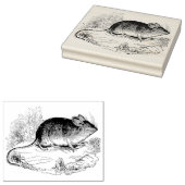 Kunststempel Mouse Authentic  Rubber Rubberstempel (Gestempeld)