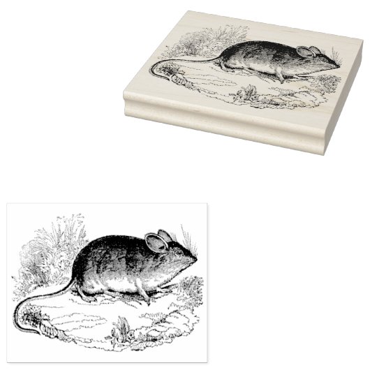 Kunststempel Mouse Authentic  Rubber Rubberstempel (Gestempeld)