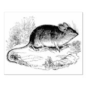 Kunststempel Mouse Authentic  Rubber Rubberstempel (Afrduk)