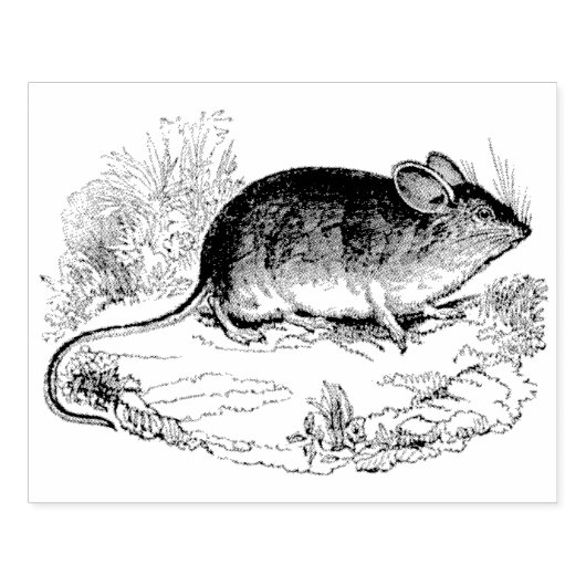 Kunststempel Mouse Authentic  Rubber Rubberstempel (Afrduk)