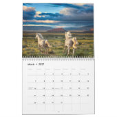 KUNSTSTOF VAN HORSES KALENDER (Mar 2027)