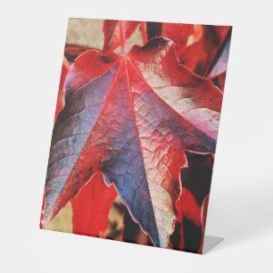 Kunststof voetafdruk 10"X12" Reclamebord Met Voetstuk