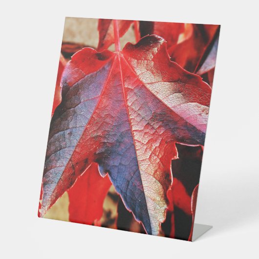 Kunststof voetafdruk 10"X12" Reclamebord Met Voetstuk (Voorkant)