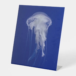 Kunststof voetafdruk 10"X12" Reclamebord Met Voetstuk