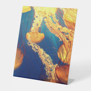 Kunststof voetafdruk 10"X12" Reclamebord Met Voetstuk