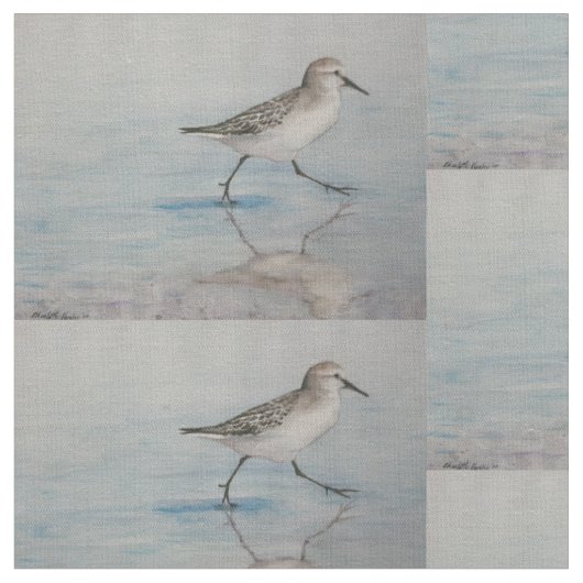 Kunststof zand-Piper Bird Stof (Close Up)