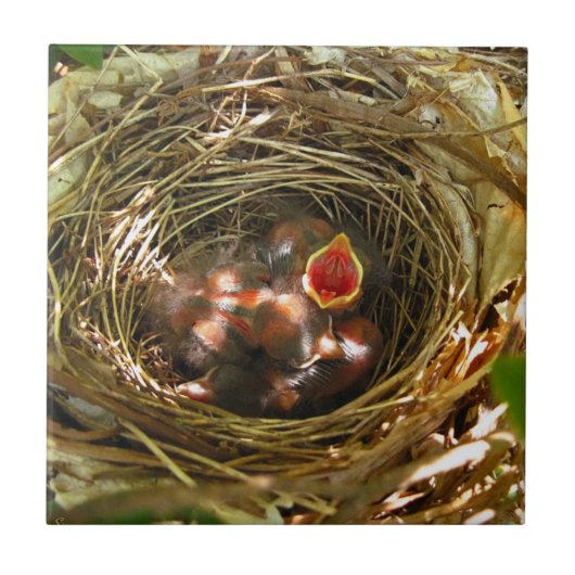 Kunsttegel uitdelen tegeltje (Voorkant)