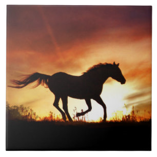 Kunsttegel voor paarden en voor zonsondergang tegeltje