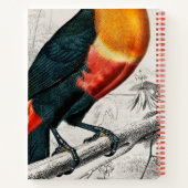 Kunsttekenaar Toucan Bird Sketchbook - Aangepaste Notitieboek (Achterkant)