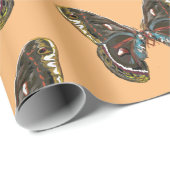 Kunsttekentekening exotische Butterfy Cadeaupapier (Rol Hoek)
