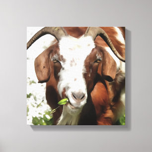 Kunstthetisch filmpje van een geit canvas afdruk