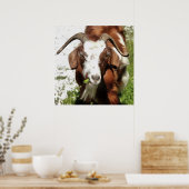 Kunstthetisch filmpje van een geit poster (Keuken)