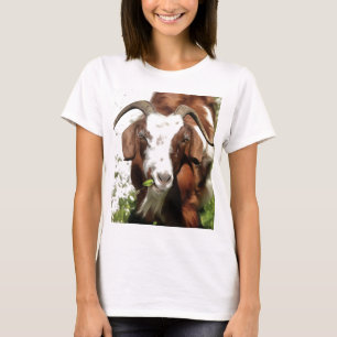 Kunstthetisch filmpje van een geit t-shirt