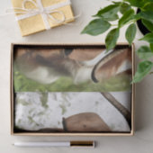 Kunstthetisch filmpje van een geit tissuepapier (Geschenk)