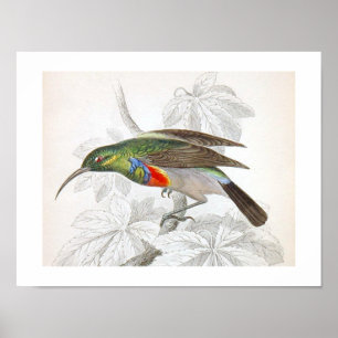  kunstvogelgriep poster
