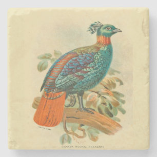 Kunstvogels Colorful Pheasant Illustratie Stenen Onderzetter