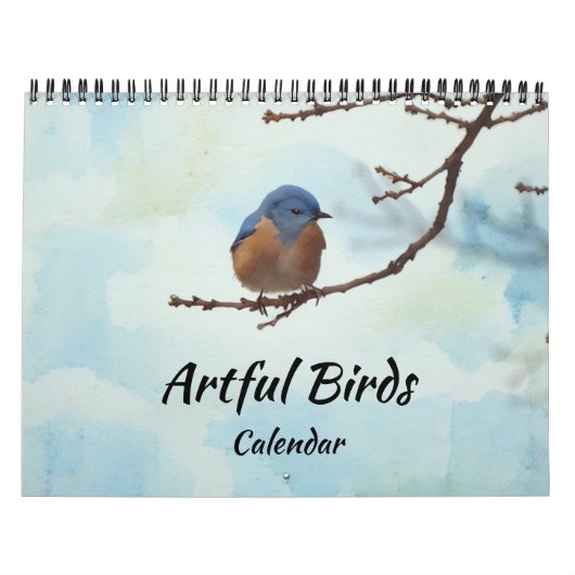Kunstvogels Fotografische kunst Kalender (Hoes)