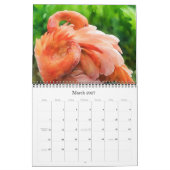 Kunstvogels Fotografische kunst Kalender (Mar 2027)