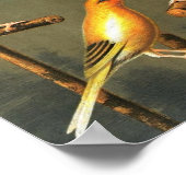  kunstvogels — vogelkanarische en-kooivogels — Gol Poster (Hoek)